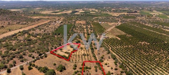 قطعة أرض في Sao Bartolomeu de Messines, Portugal 1280متر مربع رقم 61206 10