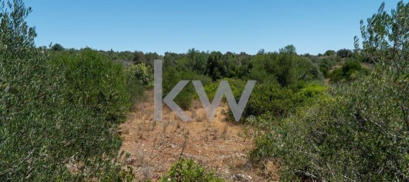 قطعة أرض في Sao Bartolomeu de Messines, Portugal 1280متر مربع رقم 61206 19