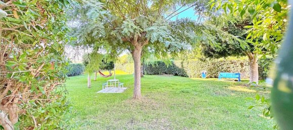 Apartamento T1 em Torrevieja, Espanha N.º 365851 3
