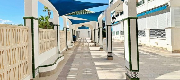 Apartamento T1 em Torrevieja, Espanha N.º 365851 6