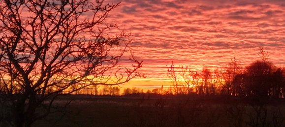 7 rooms House in Nordfriesland, Germany No. 322483 24