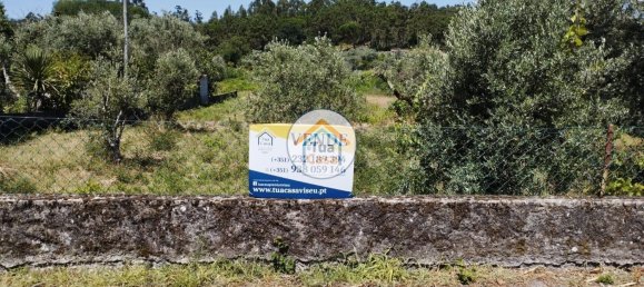  قطعة أرض في Tondela, Portugal 2000متر مربع رقم 61144 2