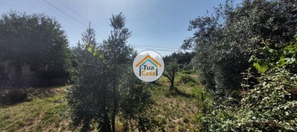  قطعة أرض في Tondela, Portugal 2000متر مربع رقم 61144 3