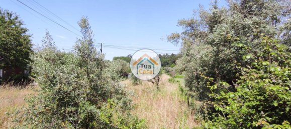 قطعة أرض في Tondela, Portugal 2000متر مربع رقم 61144 15