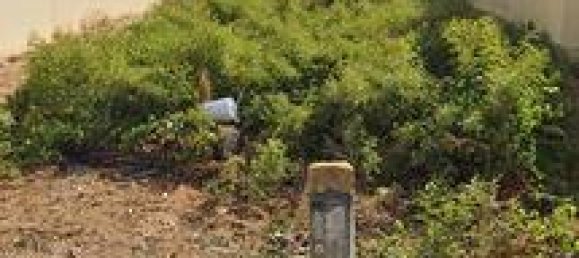 380m² Land in Castelvetrano, Italy No. 251823 2