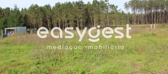 7 bedrooms House in Leiria, Portugal No. 152715 5