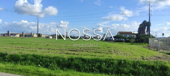 15955m² Land in Alcochete, Portugal No. 128819 8