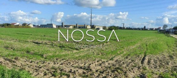 15955m² Land in Alcochete, Portugal No. 128819 6