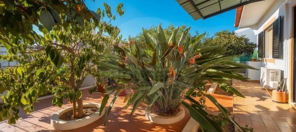 4 bedrooms House in Faro, Portugal No. 131476 11