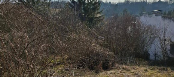 Grundstück in Wolkersdorf im Weinviertel, Austria 1231m², Nr. 167297 6