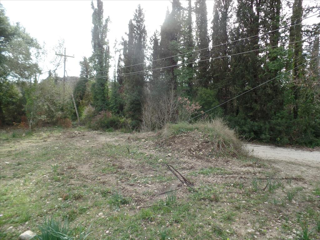 35000m² Hotel in Corfu, Greece No. 5805