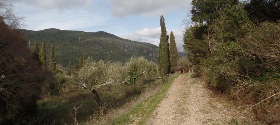 35000m² Hotel in Corfu, Greece No. 5805 13