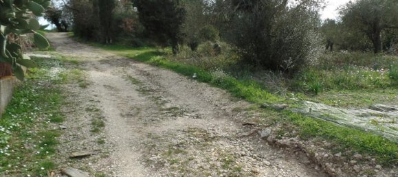 35000m² Hotel in Corfu, Greece No. 5805 7