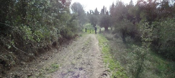 35000m² Hotel in Corfu, Greece No. 5805 10