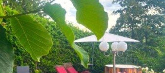 4 rooms House in Lichtenegg, Austria No. 51520 18