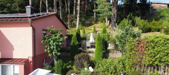 4 rooms House in Lichtenegg, Austria No. 51520 6