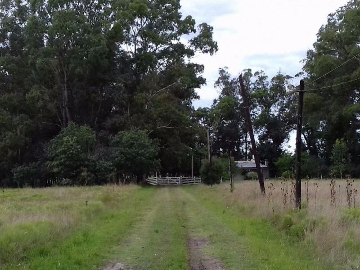  Farm in Punta Indio, Argentina No. 41651