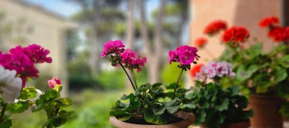 6 rooms Villa in Pisa, Italy No. 118114 12