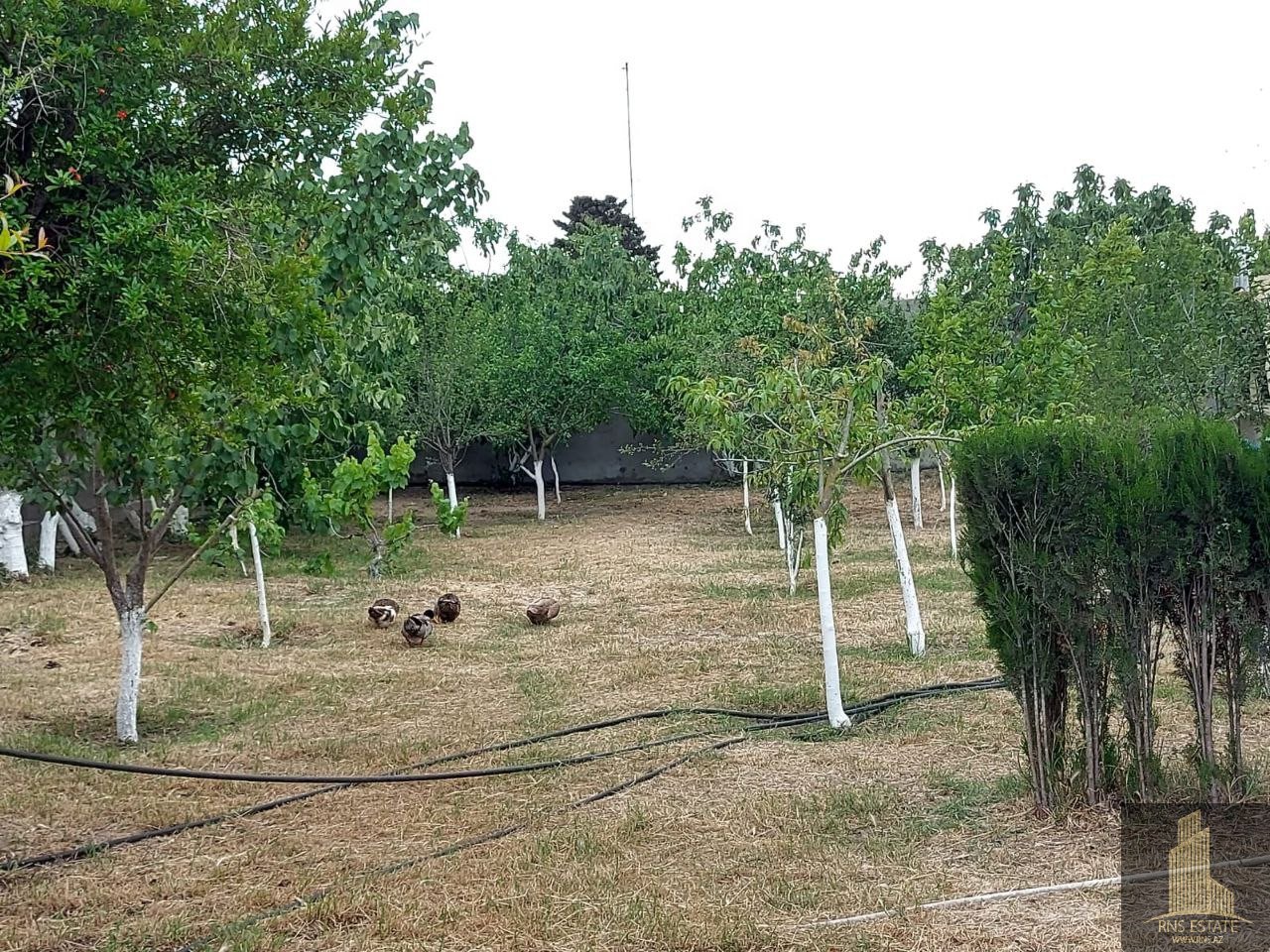 Дом с 7 спальнями в Хазарский район, Азербайджан № 1175