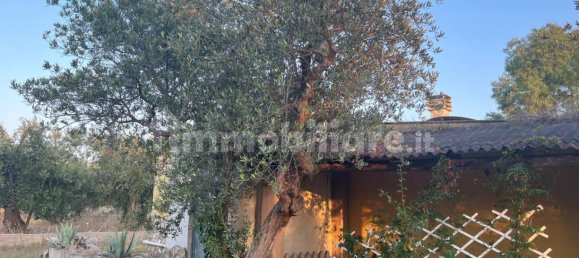 Земельный участок 6600м² в Аквавива делле Фонти, Италия № 269968 4