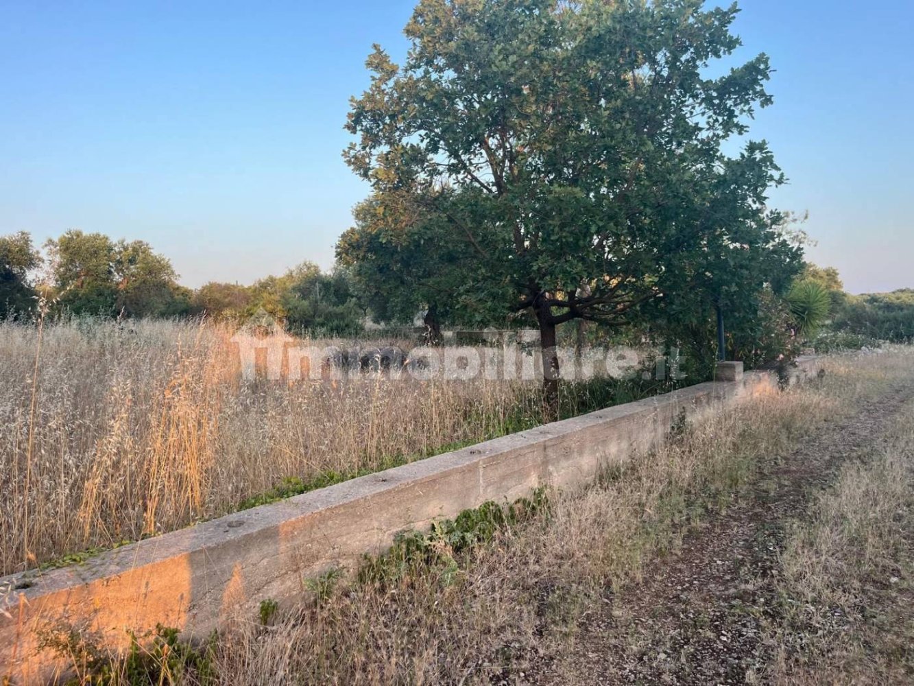 Земельный участок 6600м² в Аквавива делле Фонти, Италия № 269968