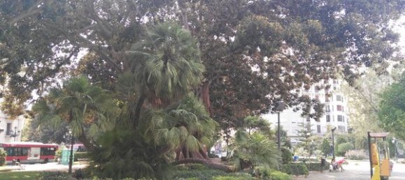 Propiedad comercial en Valencia, Spain 66 m² No. 101788 2