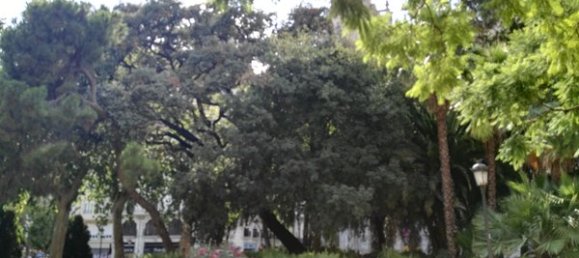 Propiedad comercial en Valencia, Spain 66 m² No. 101788 18