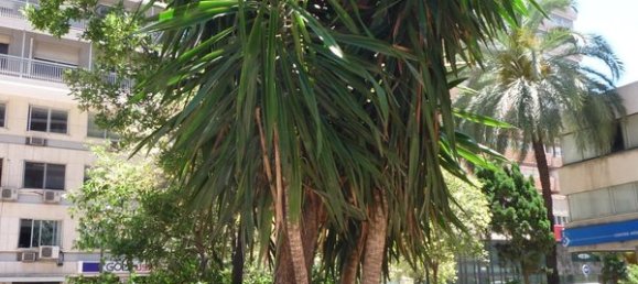 Propiedad comercial en Valencia, Spain 66 m² No. 101788 12