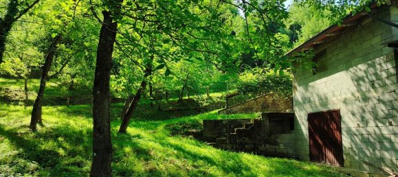 2 bedrooms House in Villa Collemandina, Italy No. 309816 12