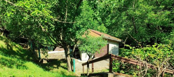 2 bedrooms House in Villa Collemandina, Italy No. 309816 9