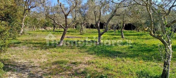 3400m² Land in Sassari, Italy No. 194875 2