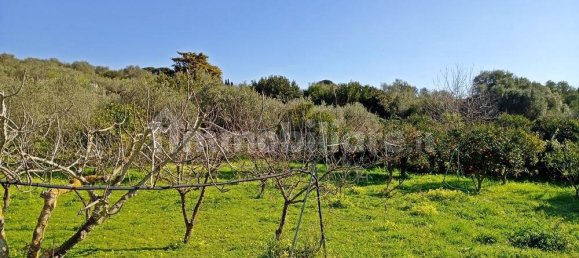 3400m² Land in Sassari, Italy No. 194875 7