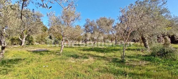 3400m² Land in Sassari, Italy No. 194875 6