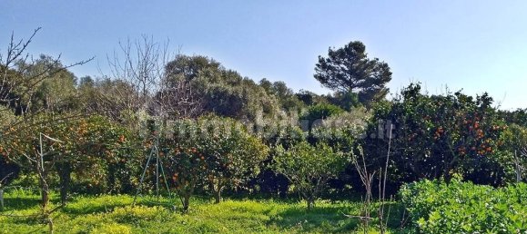 3400m² Land in Sassari, Italy No. 194875 9