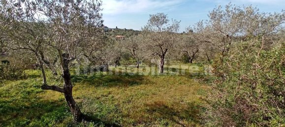 3400m² Land in Sassari, Italy No. 194875 3
