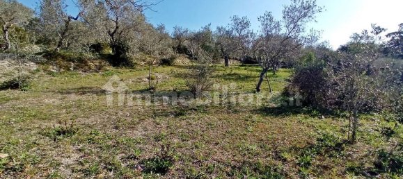 3400m² Land in Sassari, Italy No. 194875 5