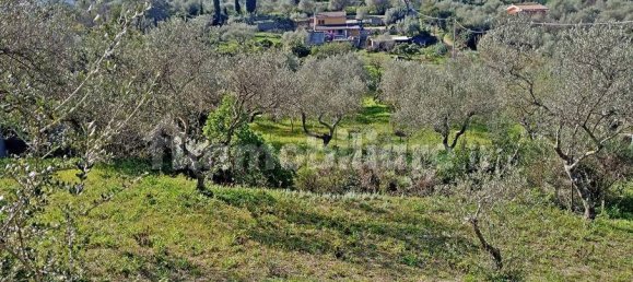 3400m² Land in Sassari, Italy No. 194875 4