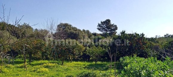 3400m² Land in Sassari, Italy No. 194875 8
