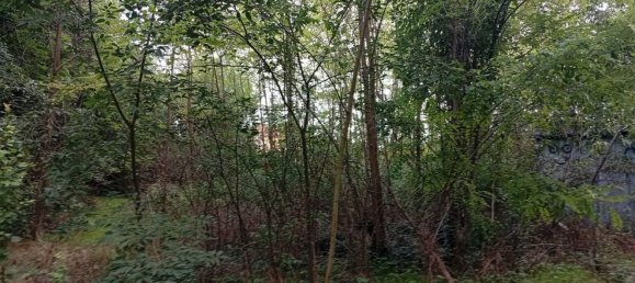 Terrain à Pordenone, Italy No. 348587 2