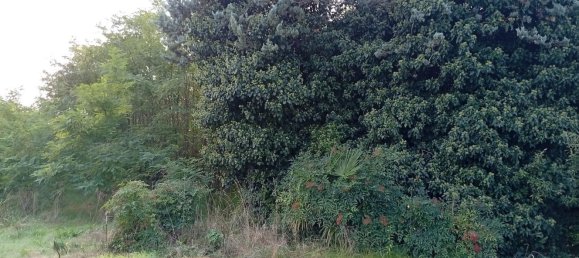 Terrain à Pordenone, Italy No. 348587 4