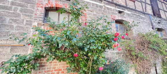 7 bedrooms Farm in Erfurt, Germany No. 33472 15