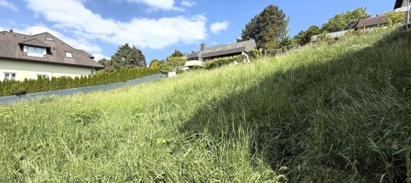  قطعة أرض في Klosterneuburg, Austria رقم 42458 4