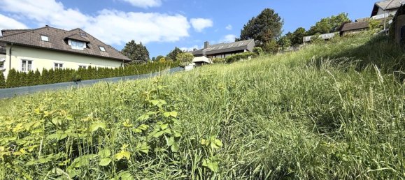  قطعة أرض في Klosterneuburg, Austria رقم 42458 2