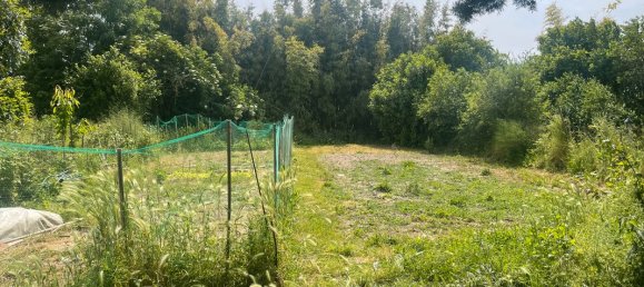 1 Schlafzimmer Haus in Vatan, France, Nr. 87026 9