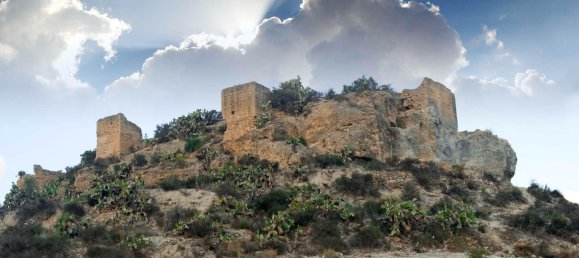 3 غرف نوم فيلا في Aspe, Spain رقم 7000 8