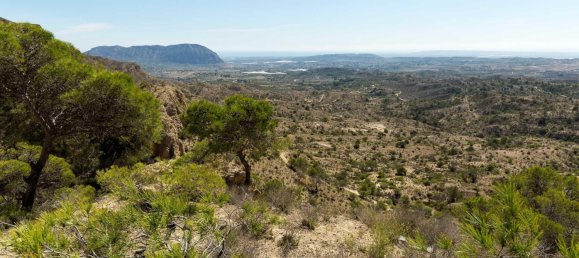 3 غرف نوم فيلا في Aspe, Spain رقم 7000 11