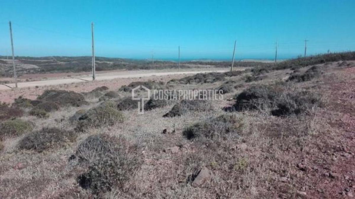 Земельный участок в Вила ду Бишпу, Португалия № 8673