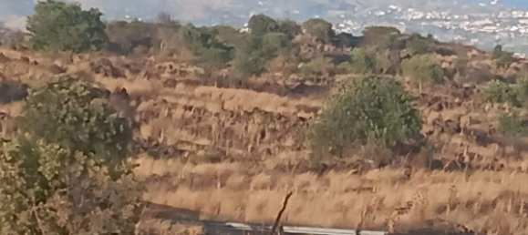 Дом с 1 спальней в Маскали, Италия № 346011 10