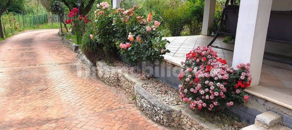 4 bedrooms Villa in Frosinone, Italy No. 282905 37