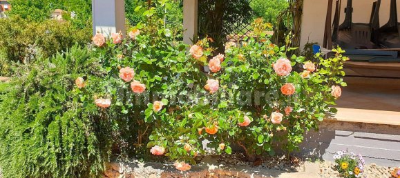 4 bedrooms Villa in Frosinone, Italy No. 282905 38